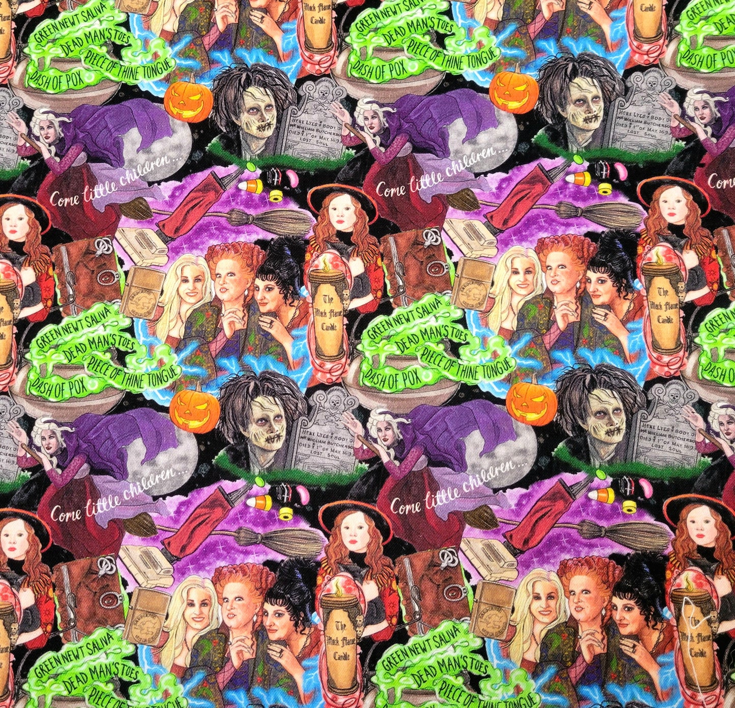 Hocus Pocus Bowl Cozy | Halloween Witch Movie Padded Holder