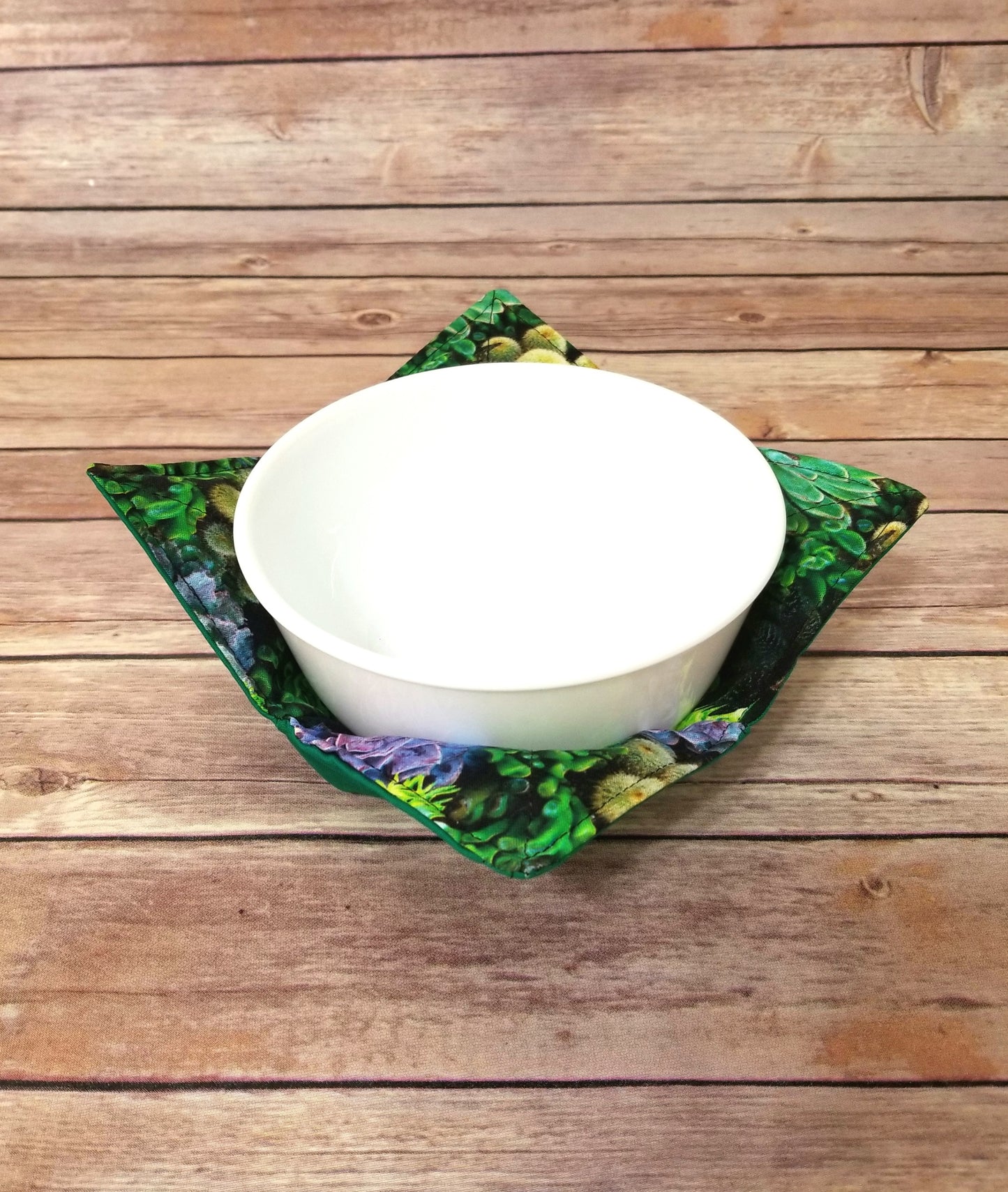 Succulents Bowl Cozy Hot Pad | Succulent Cactus Padded Bowl Holder